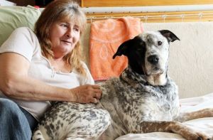 Tucker and Rejeanne Asselin, who is appealing for donations of scrap metal to help fund Tucker's surgery (photo by Fort Erie Times)