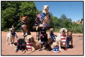 Photo courtesy of Best Friends Animal Society