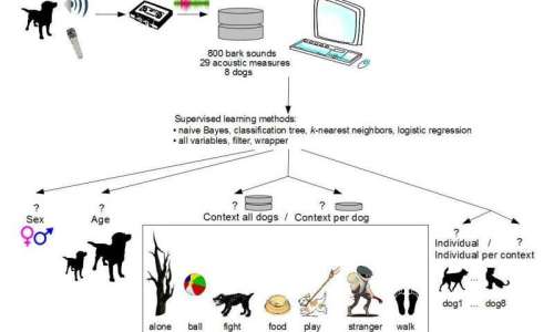 Photo credit:   Universidad Politécnica de Madrid (UPM)