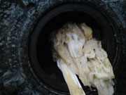 Clogged sewer pipes - thanks to wet wipes