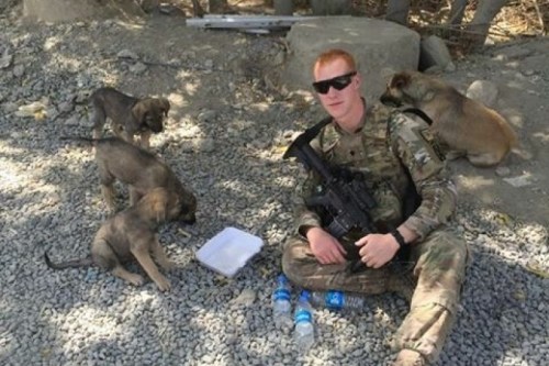 Kabul Commandos puppy rescue