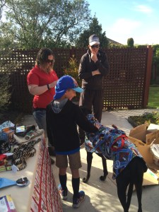 A little boy meets a greyhound at our garage sale