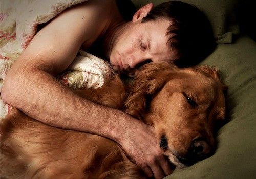 Dog and man sleeping together