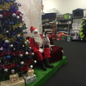 Izzy the greyhound on Santa's knee