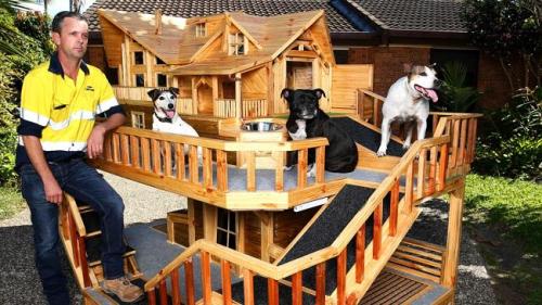 Luxury dog house