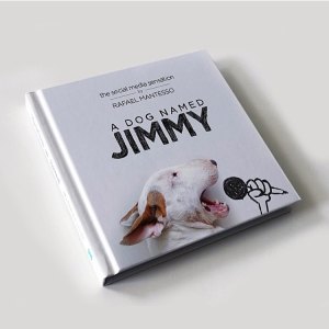 A Dog named Jimmy