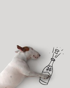 Jimmy with champagne