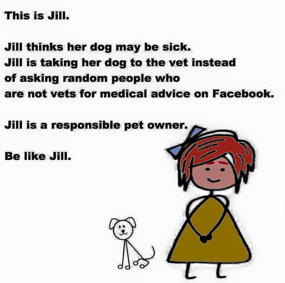 This is Jill