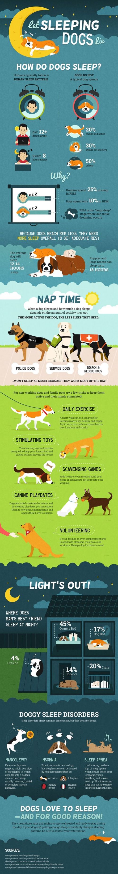 Let Sleeping Dogs Lie Infographic