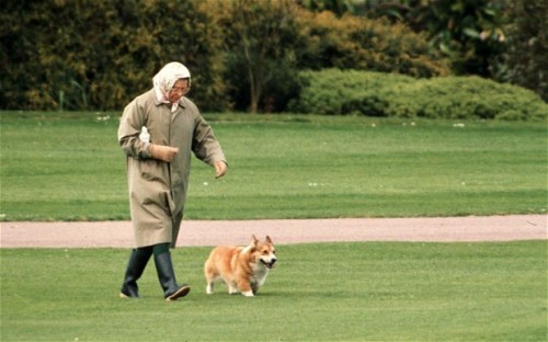 Queen with Corgi