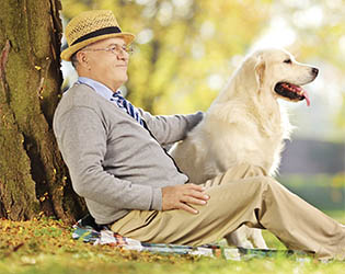 Senior gentleman and dog sitting on ground and posing in a park