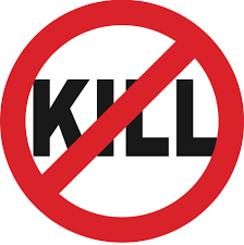 No kill image
