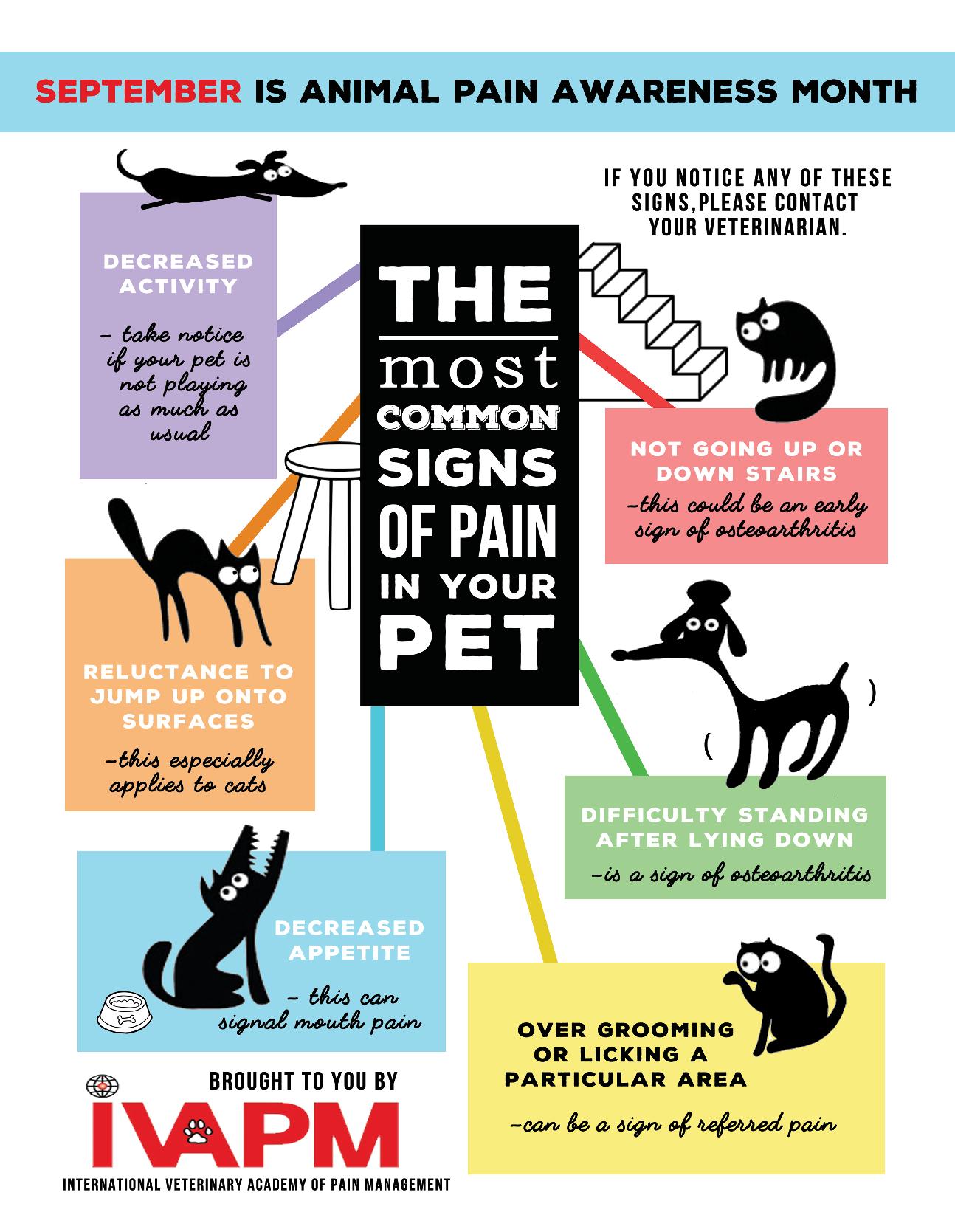 IVAPM-Pet-Pain-Awareness-Month-Poster-2016