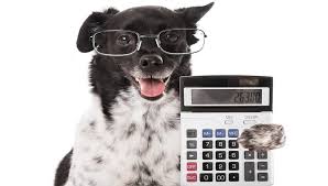 dog-budgeting