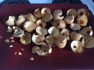 eggshells-after-baking