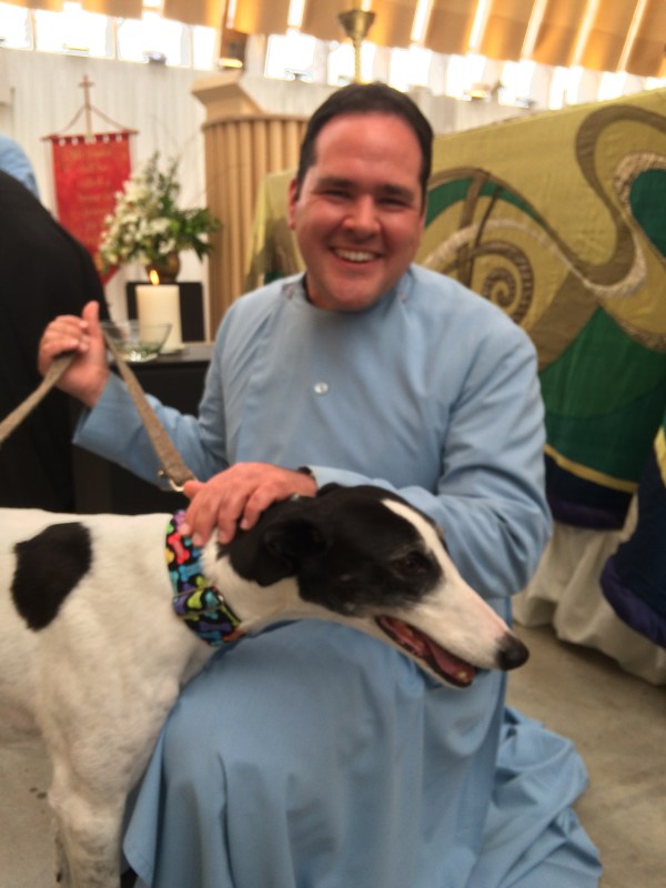 Greyhound blessing at Christchurch Cathedral