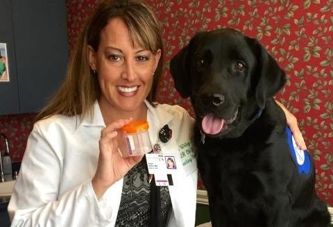 urinary-tract-infection-and-dogs