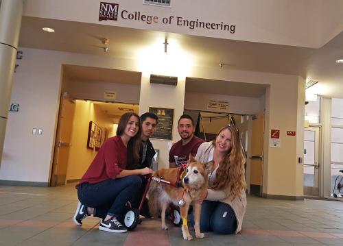Kita dog with wheelchair and students who designed it