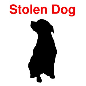 pet-theft-awareness-day