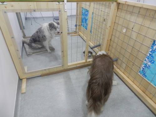 prosocial-behaviour-photo-2