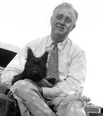 FDR and Fala