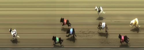 Izzy winning on 10 Dec 2010