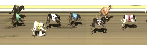 Izzy winning on 19 Dec 2012