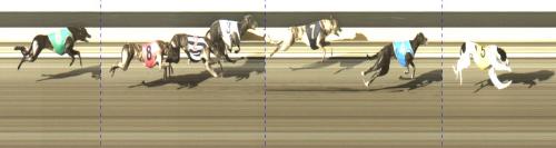 Izzy winning on 3 Aug 2011