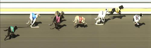 Izzy winning on 7 Nov 2012