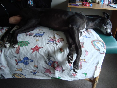 Lucy relaxed at massage