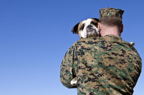 veteran with dog
