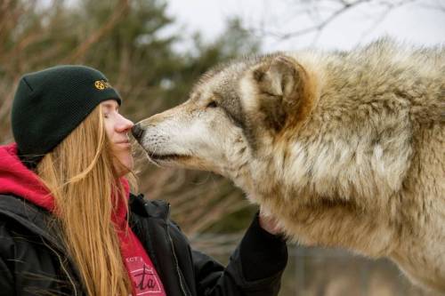 Dogs ability to communicate