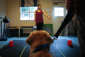 Researchers point for treats