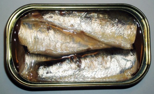 tinned sardines