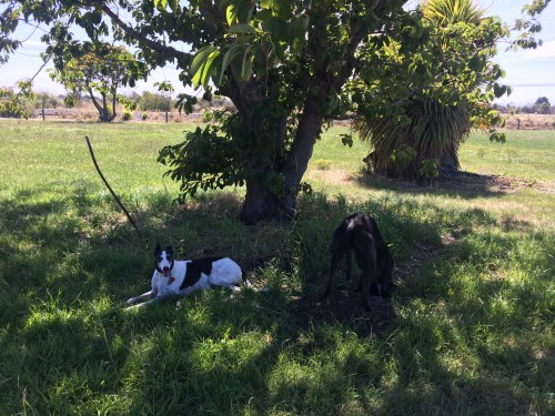 Digging a hole for his love