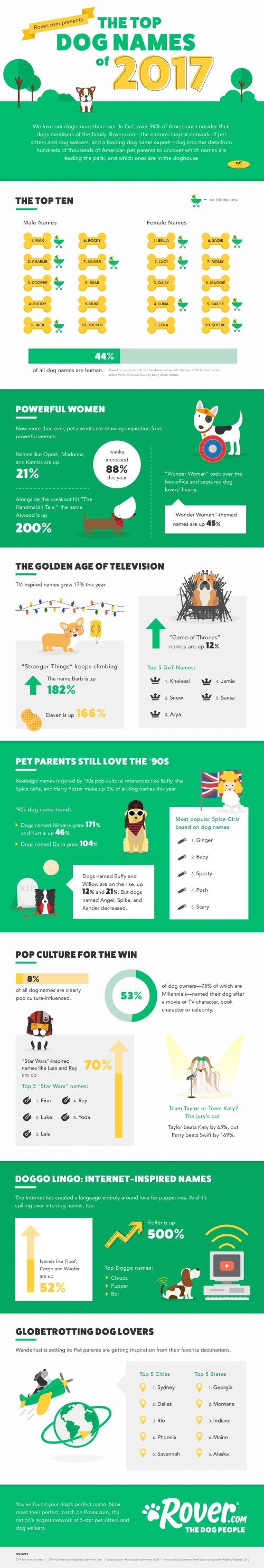 Rover_Dog_Names_2017-1