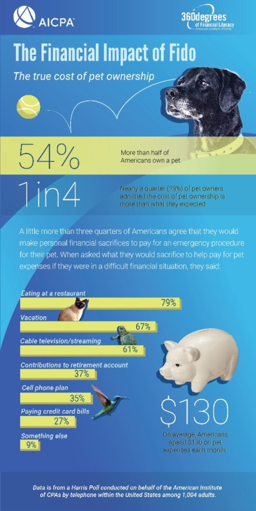 The Financial Impact of Fido by the American Institute of CPAs