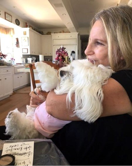 Barbra Streisand and Sammie from Instagram
