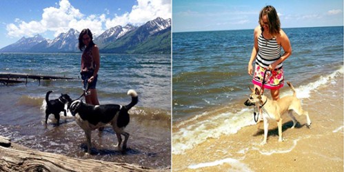 pets_and_vegetarians_550(1)