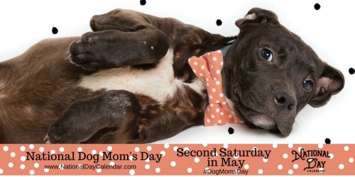 National Dog Mom's Day