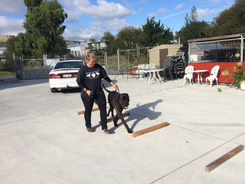 Rail walking at CBBR