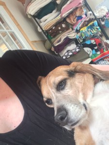 Hank in for a cuddle