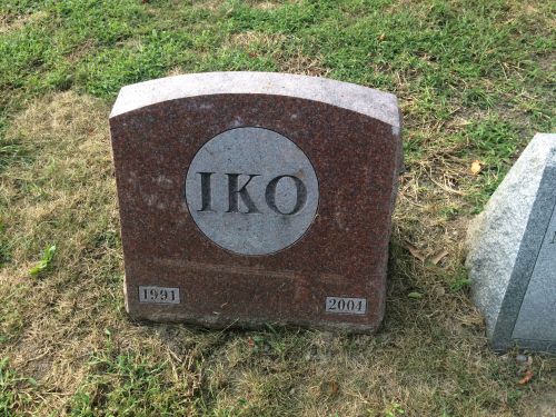 Iko's stone