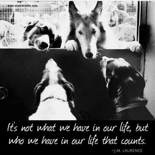 It's not what but who