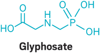 glyphosate