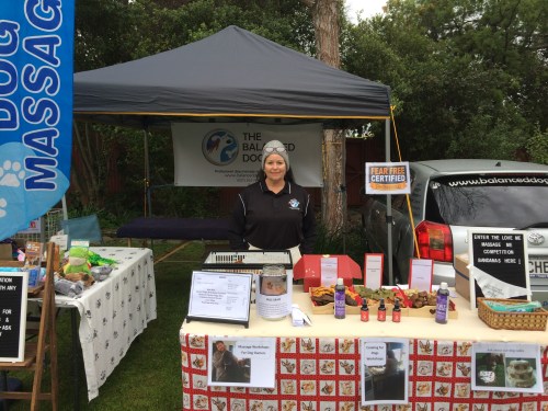 Fear Free certified canine massage therapist