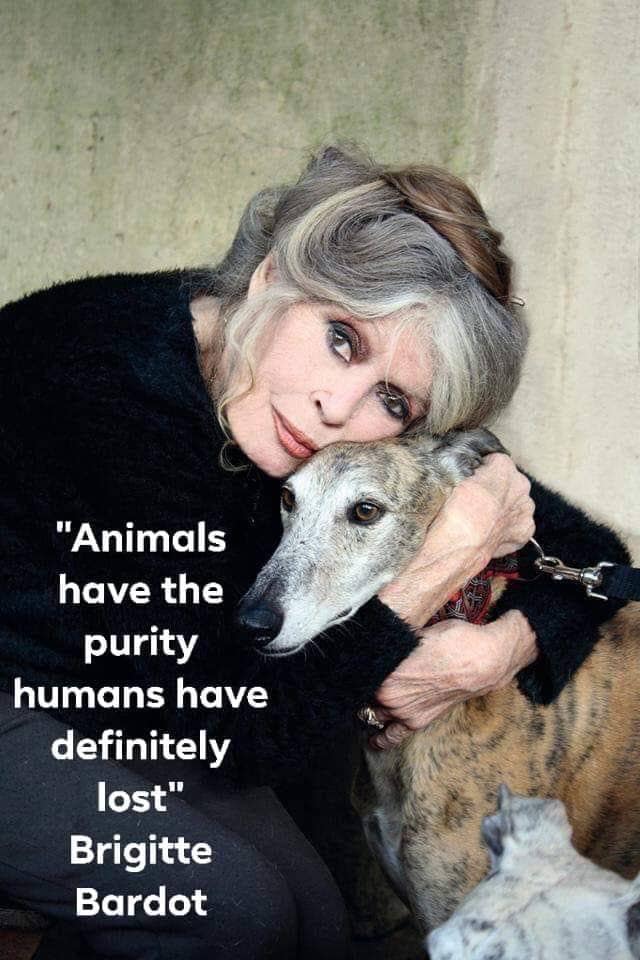 Brigitte Bardot quote