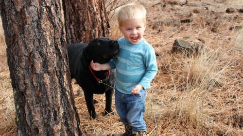 800 Toddler with Dog_Public Domain via Wikimedia Commons