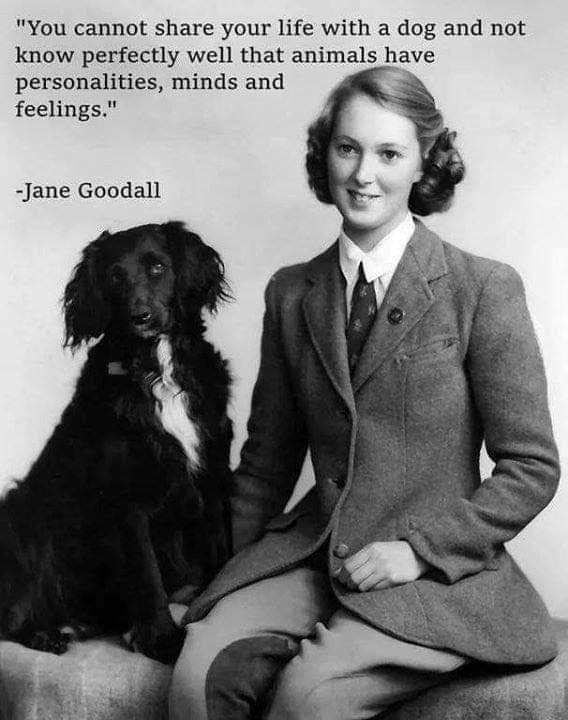 Jane Goodall quote