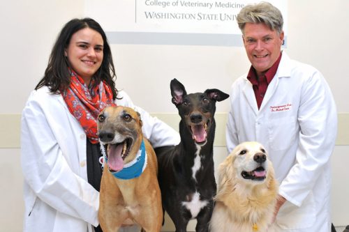 Researchers on genetic mutation anesthetic study